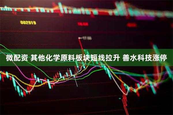 微配资 其他化学原料板块短线拉升 善水科技涨停