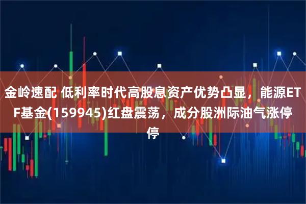 金岭速配 低利率时代高股息资产优势凸显，能源ETF基金(159945)红盘震荡，成分股洲际油气涨停