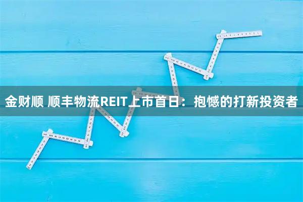 金财顺 顺丰物流REIT上市首日：抱憾的打新投资者