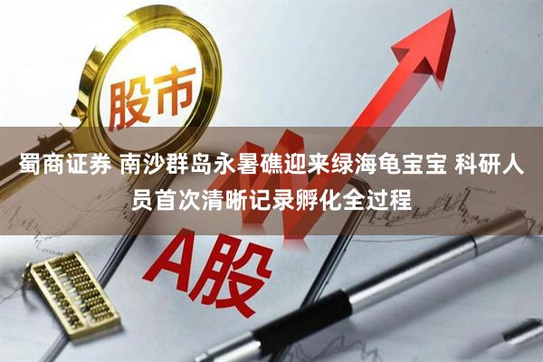 蜀商证券 南沙群岛永暑礁迎来绿海龟宝宝 科研人员首次清晰记录孵化全过程